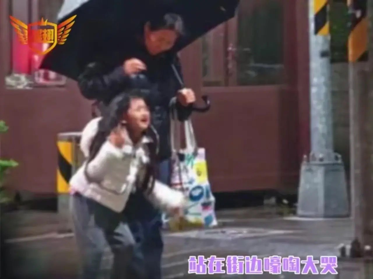 ​刷到孙女雨天街头大哭视频崩溃  张兰自曝确诊