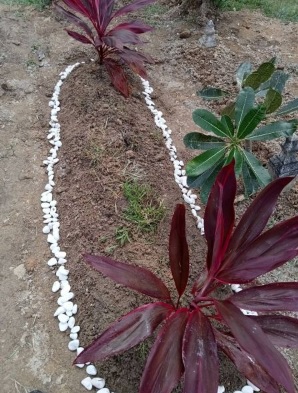 “孩子睡了我才能哭”丈夫思念亡妻就抱枕头吻衣服