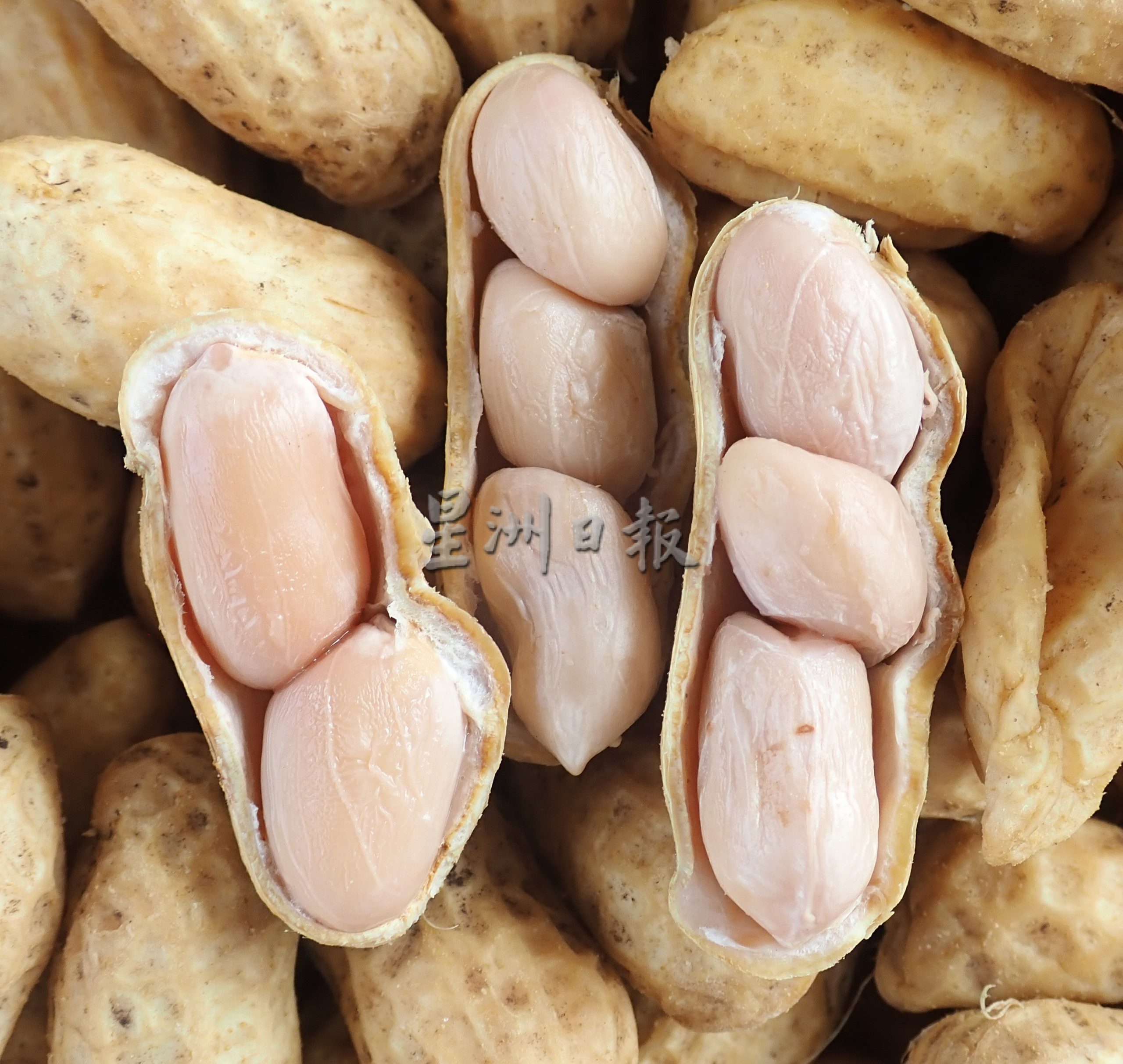 【餐车趴趴走】／水煮花生马豆经历二代人 一卖数十年令人回味