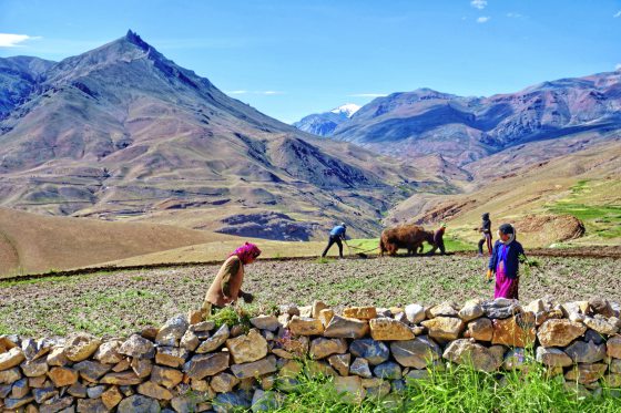 【印度】斯皮提山谷／印藏边界的中土世界