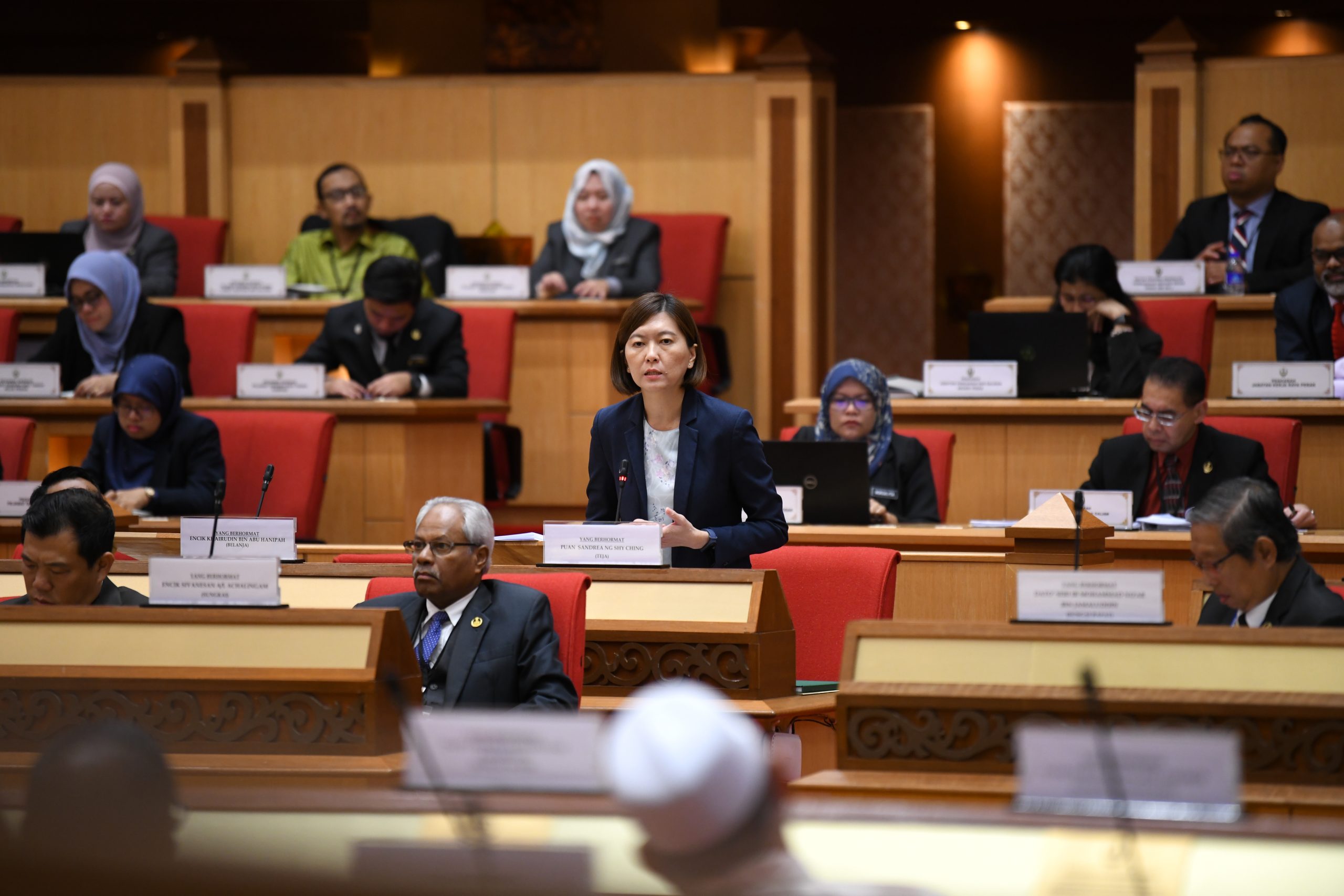 【州议会】/黄诗情:需求量大 设法推出人民组屋