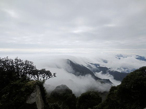 【越南】梦幻越南行，遇见最美的云海