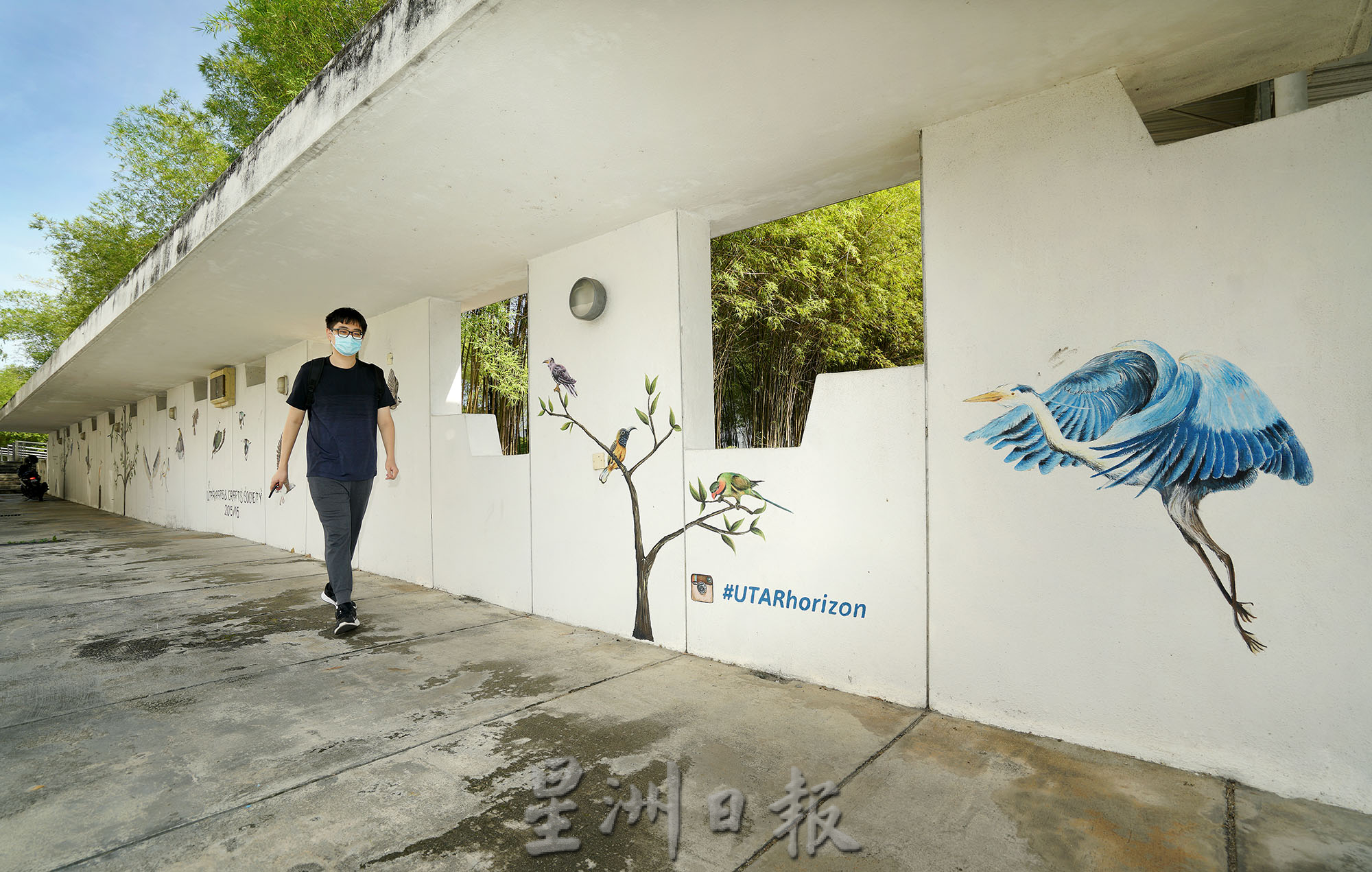 不同天色娇态百出 金宝优大处处是风景