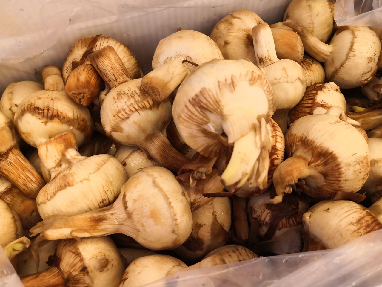 年货销售开始热起来，销量胜往年