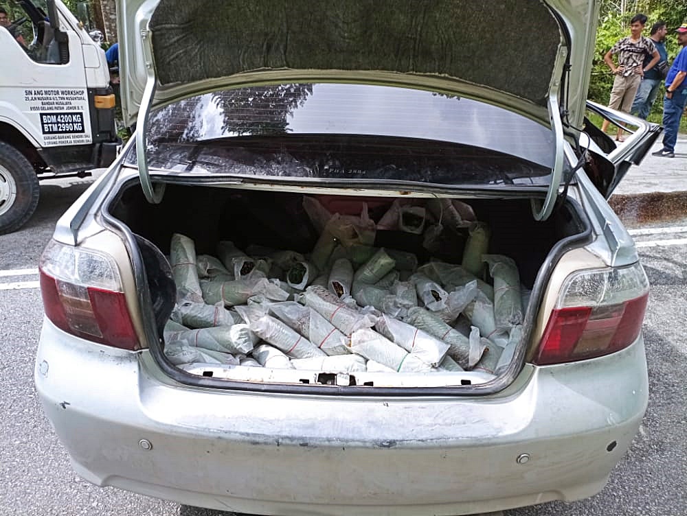 东:话望生发生一起车祸,揭发哥冬叶走私案。