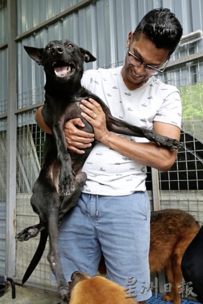 义工夫妇与残障狗Black：救它就要照顾它！