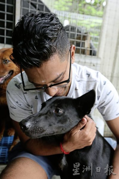 义工夫妇与残障狗Black：救它就要照顾它！