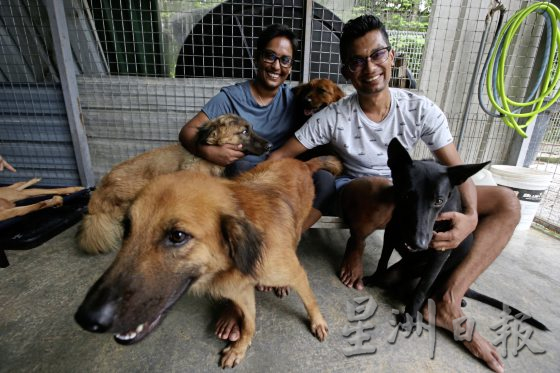 义工夫妇与残障狗Black：救它就要照顾它！
