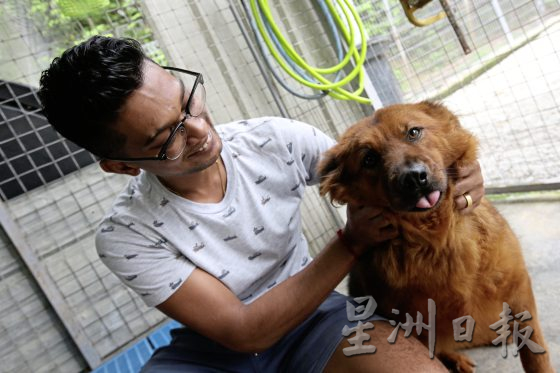 义工夫妇与残障狗Black：救它就要照顾它！