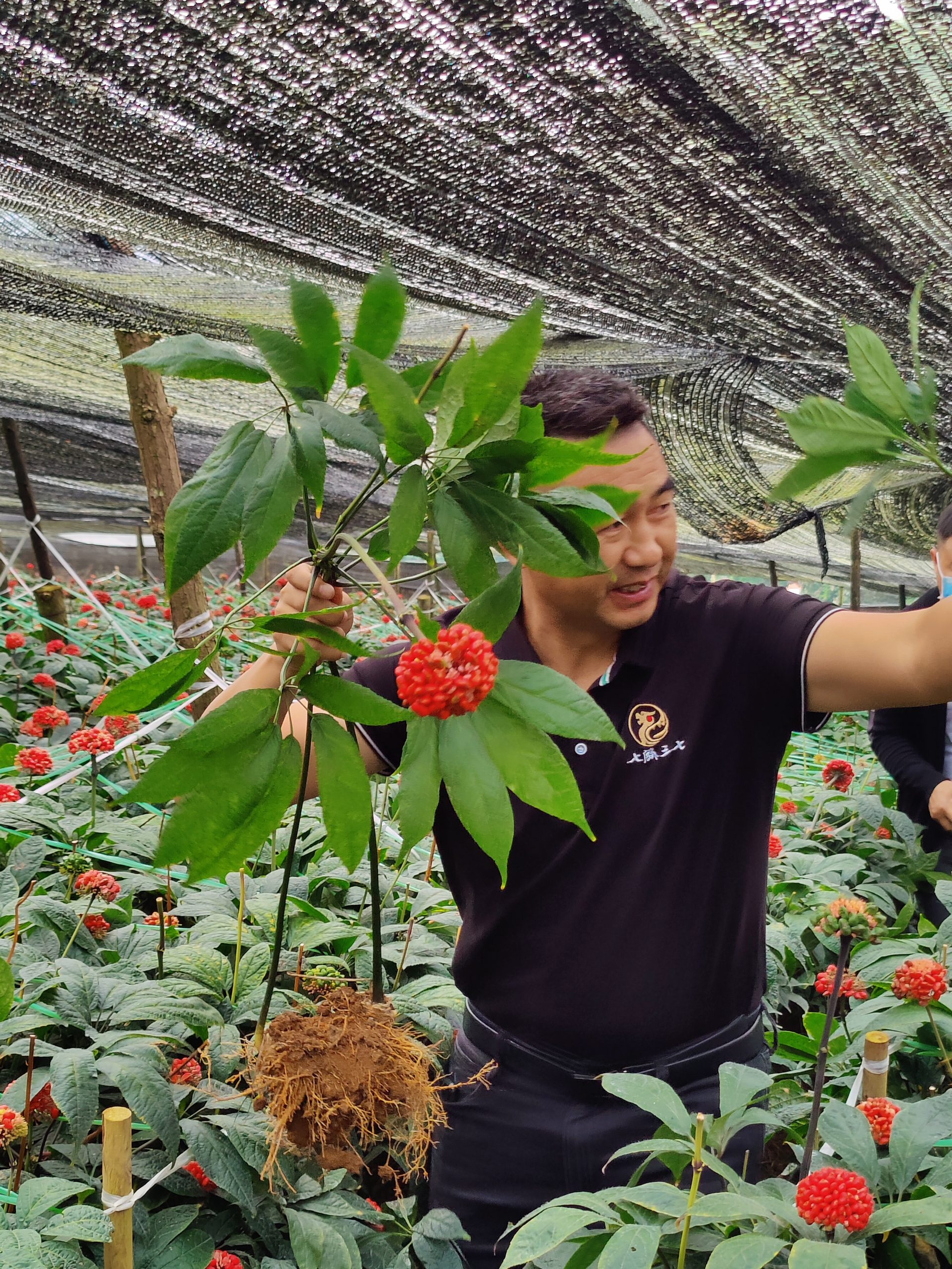 乡村振兴专题)谢成芬