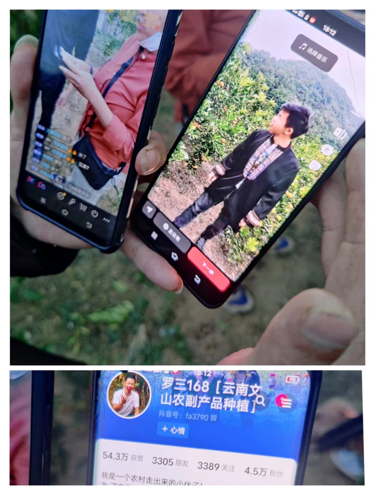 乡村振兴专题)谢成芬