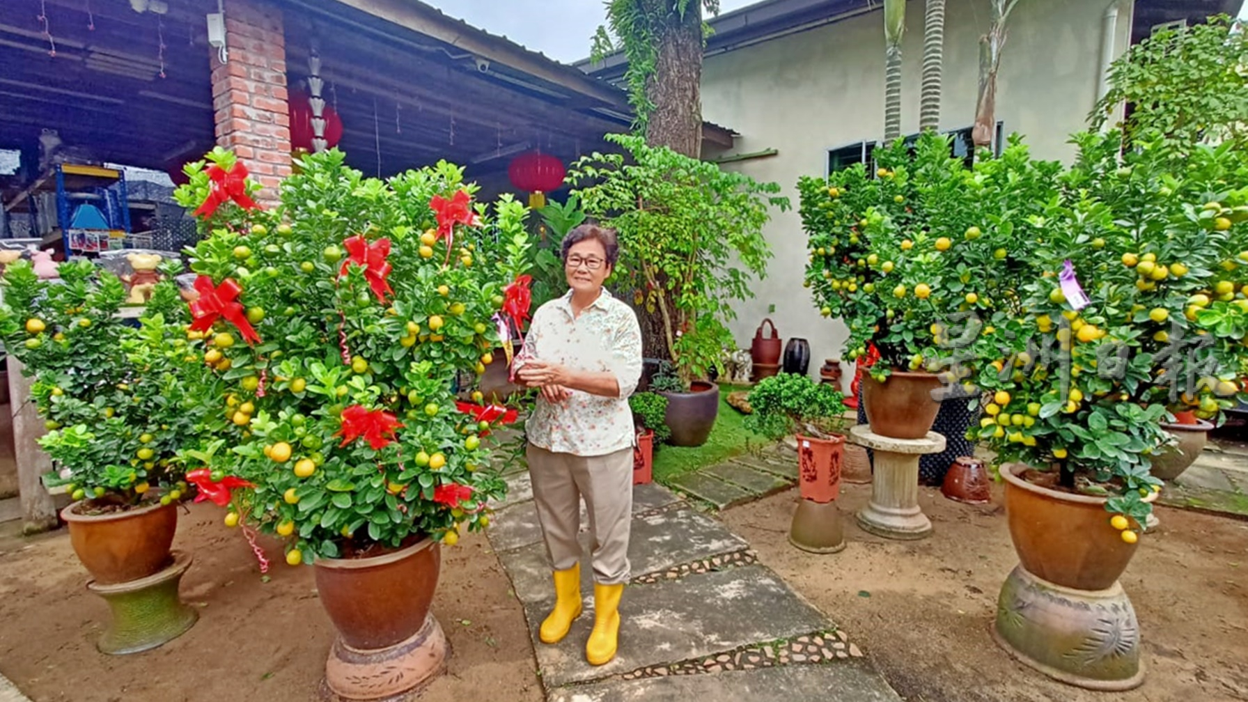 准备好迎接癸卯兔年了吗？