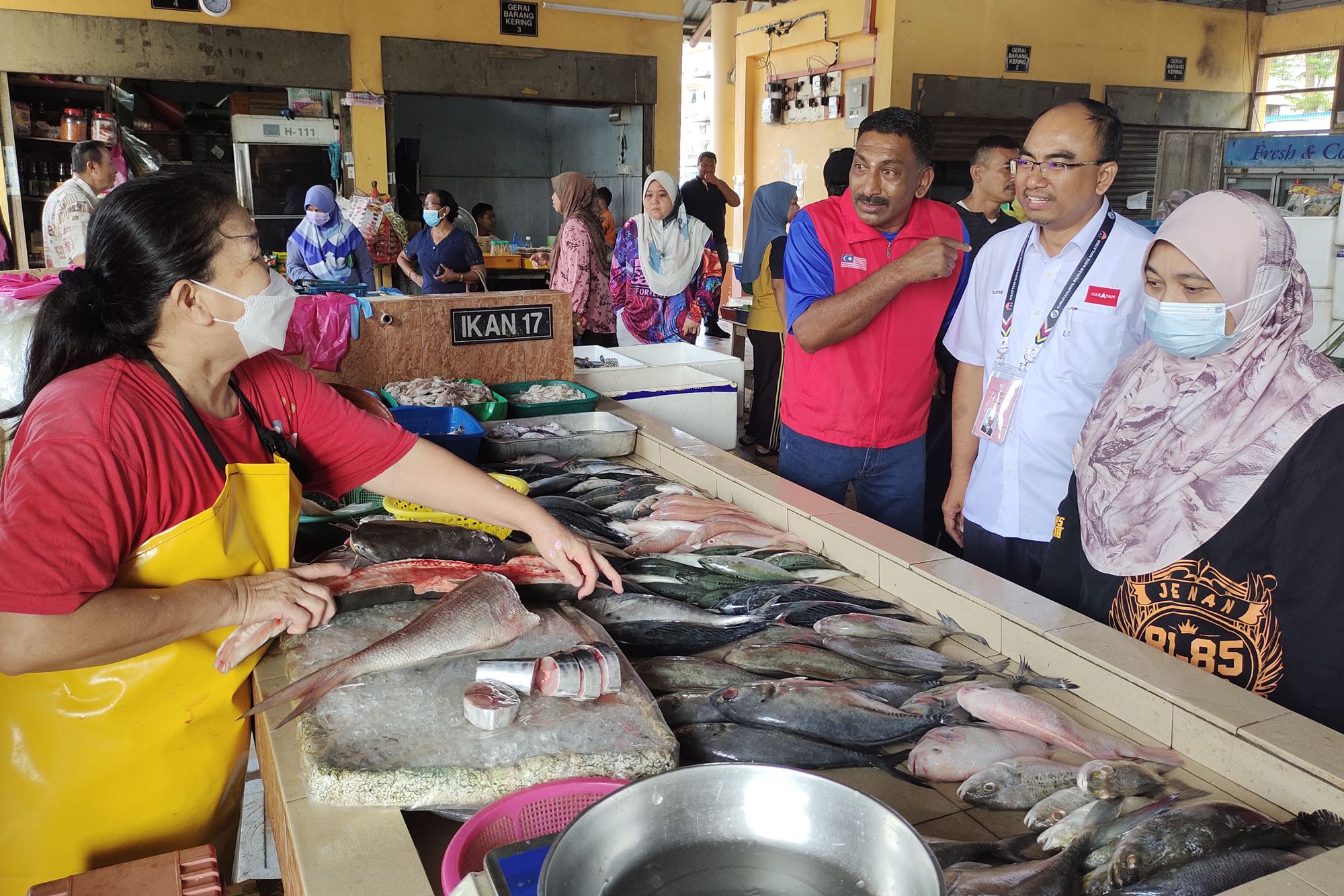 分析报道（全国版）巴东色海选举