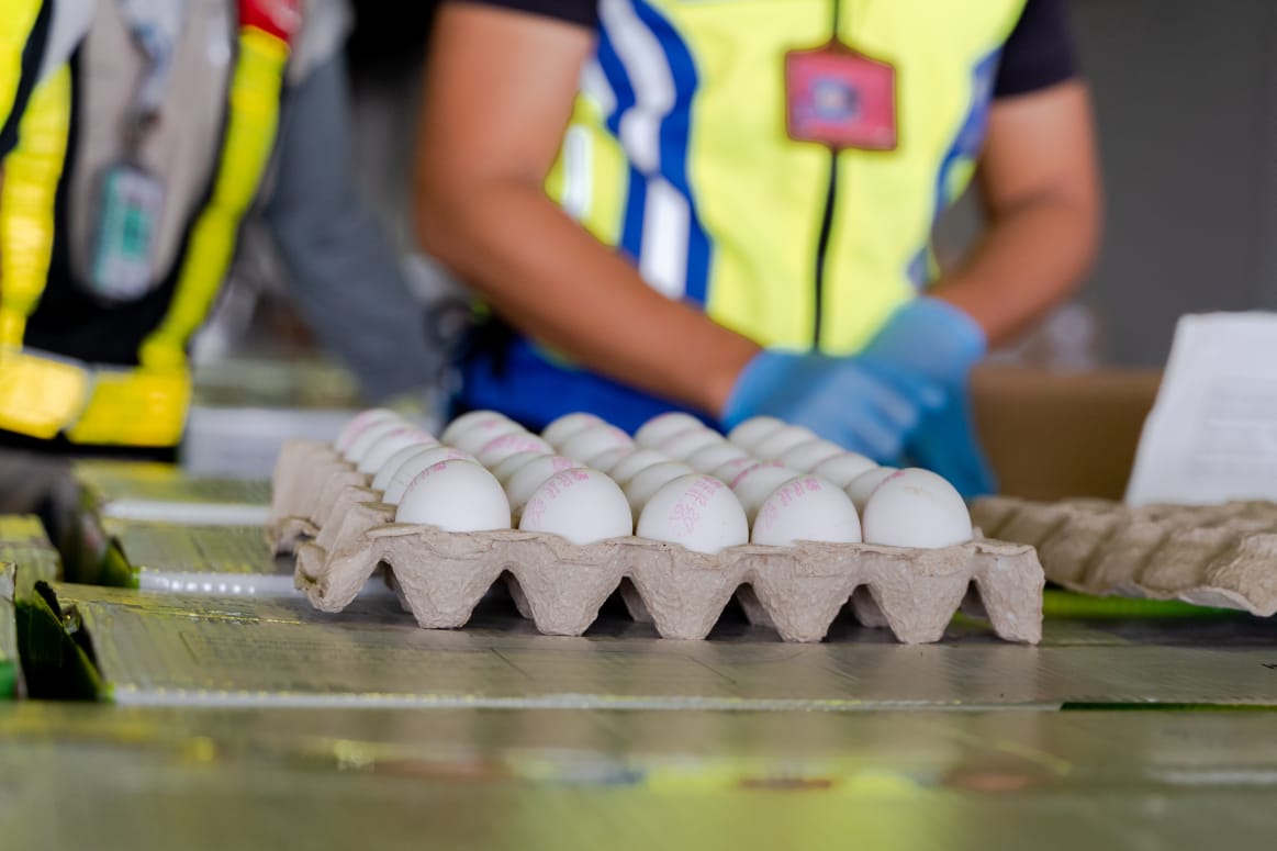 取代之前的照片--进口蛋