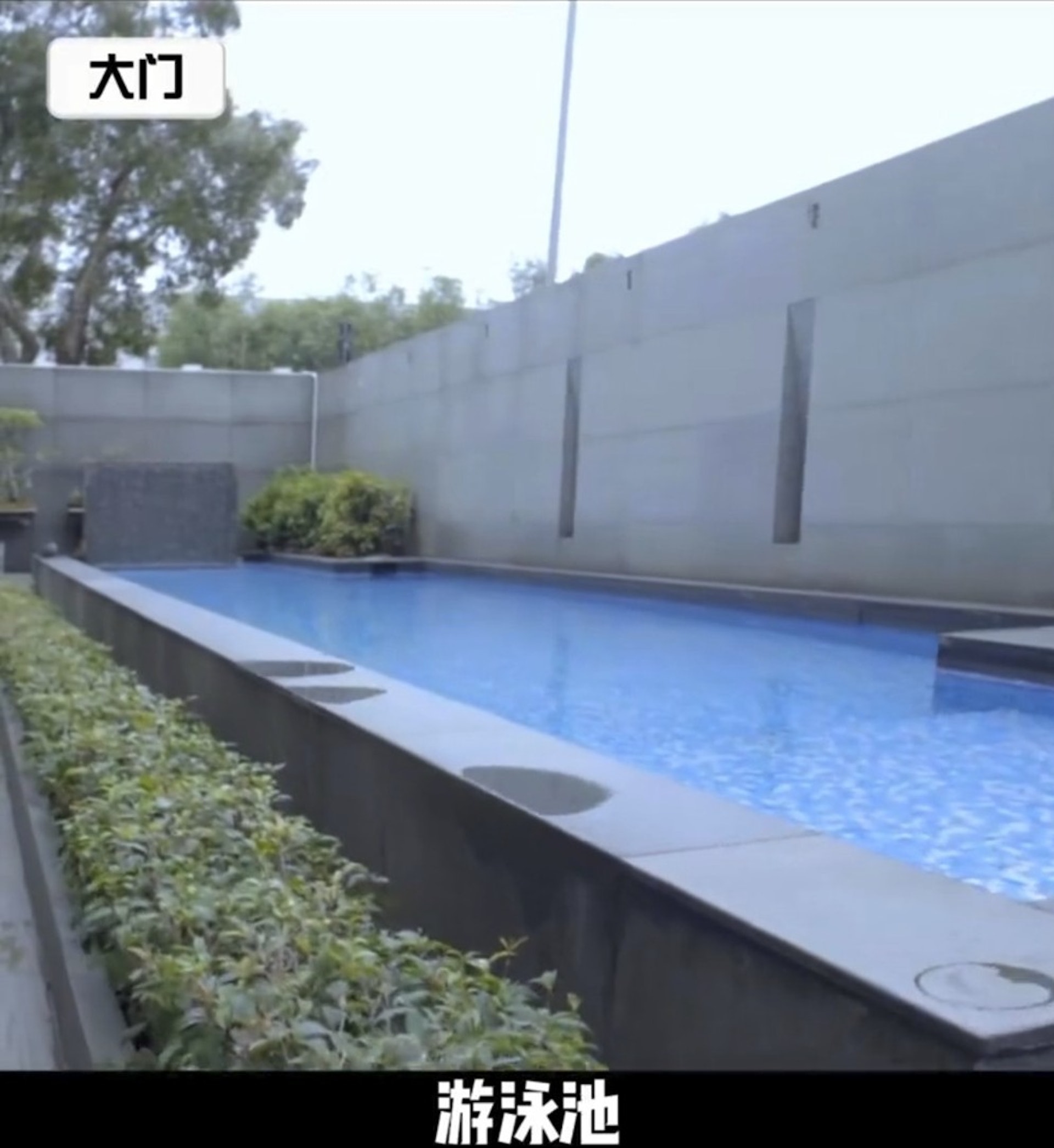 向太公开香港豪宅内部 银箔墙惊呆马云