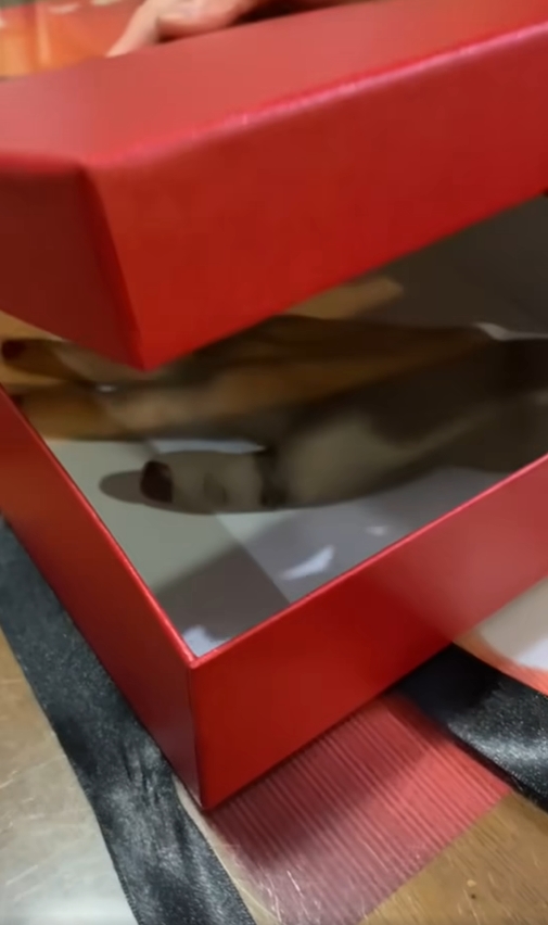 吴慷仁收到“流血断掌” 一开吓到摀嘴