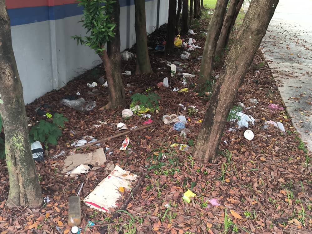 垃圾没清偷偷扩建 市会视察揪出问题根治
