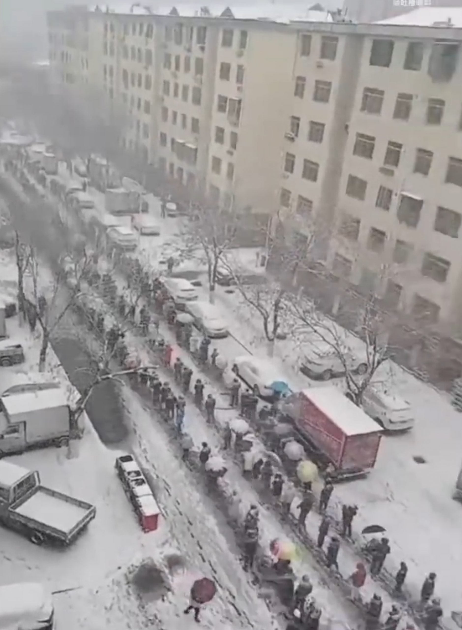 威海市民大雪中排队做核酸惹议