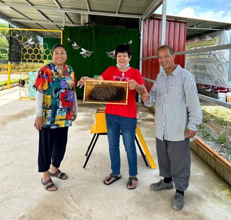宝鸿林蜜蜂保育园 24日开放参观