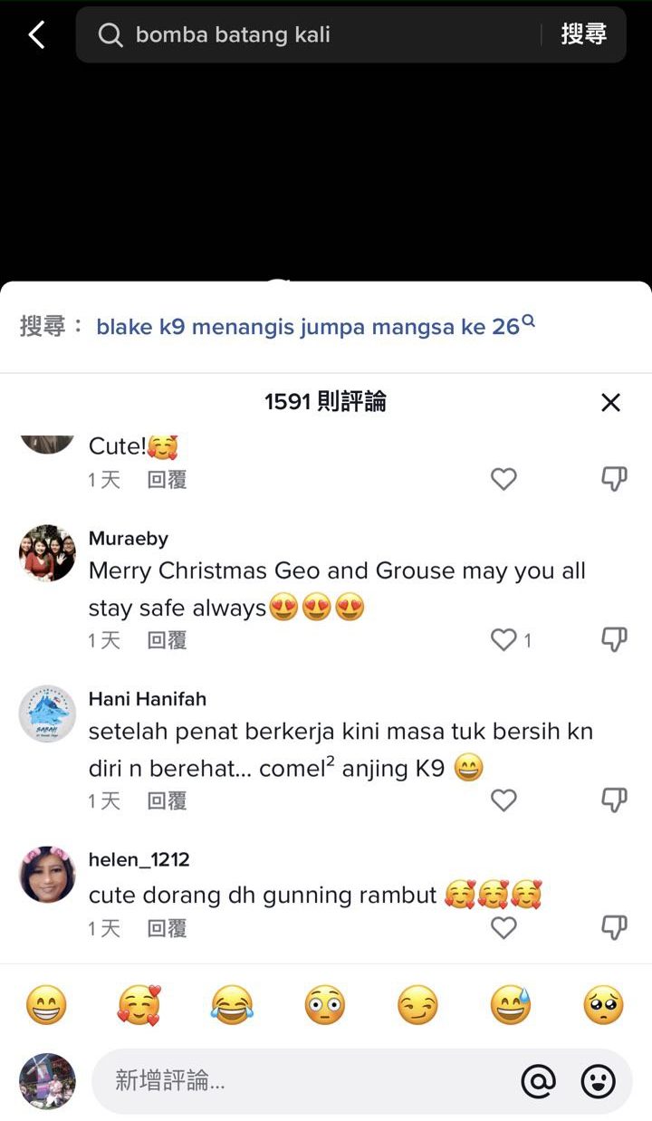 建功消防犬圣诞节获战友提供理发护理服务