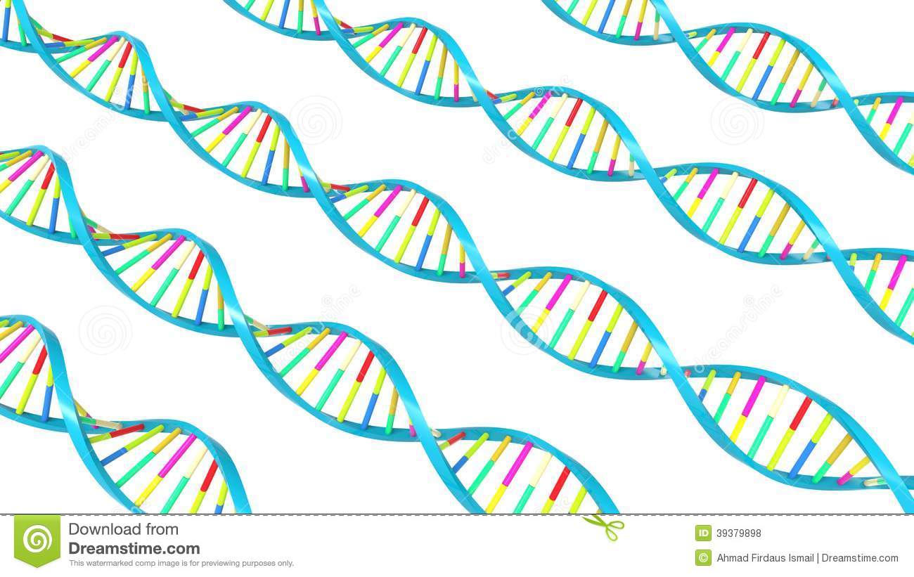 拼盘）人为何会衰老？最新研究：跟体内“基因长度”有关
