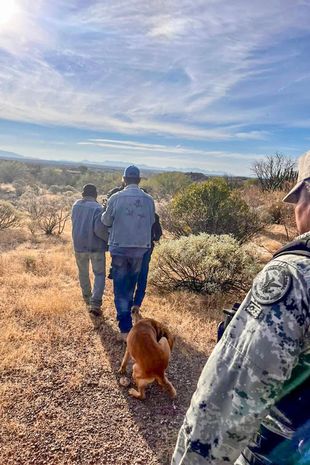 拼盘/84岁老翁失踪困荒漠一周 忠犬助警寻人