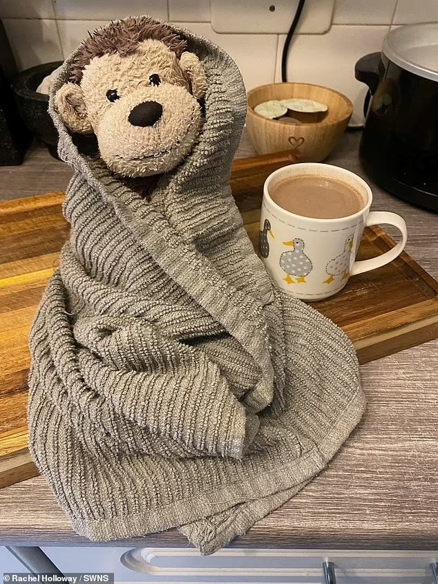 暖势力 好心陌生女子捡到猴子玩偶 在家款待拍上网 广受网民赞誉也找回失主