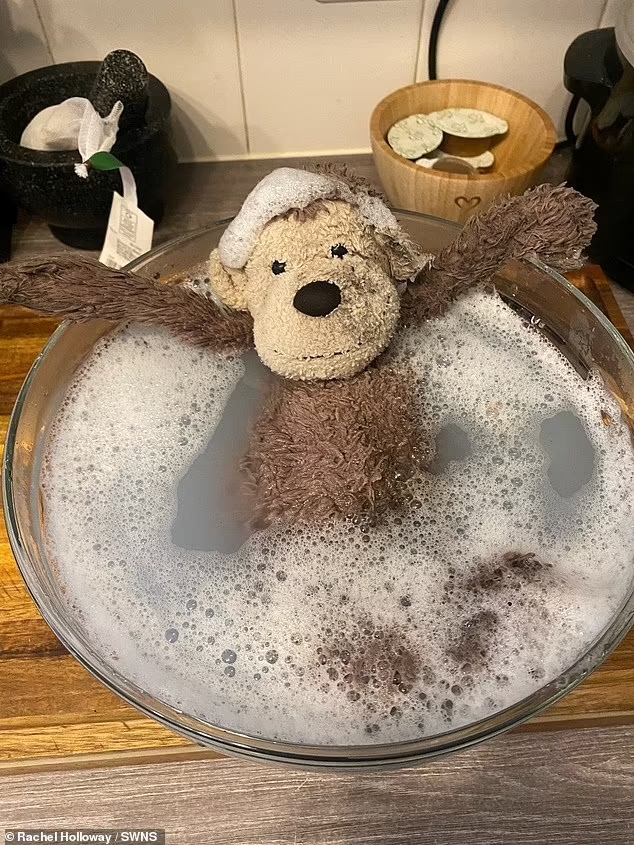 暖势力 好心陌生女子捡到猴子玩偶 在家款待拍上网 广受网民赞誉也找回失主