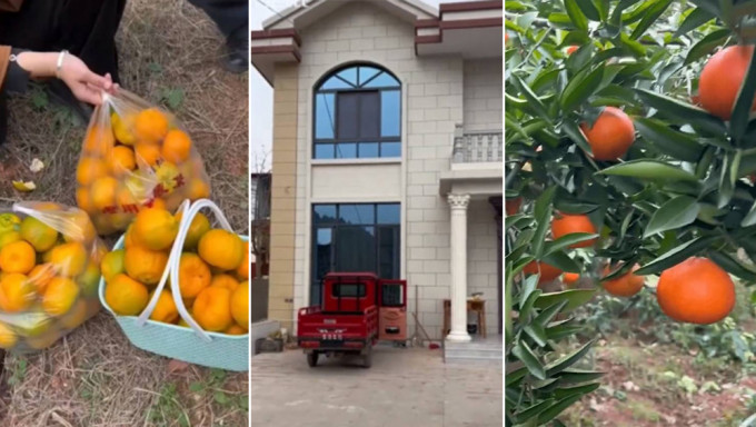 热心女子买下老小贩全部桔 随他回家方知他住别墅