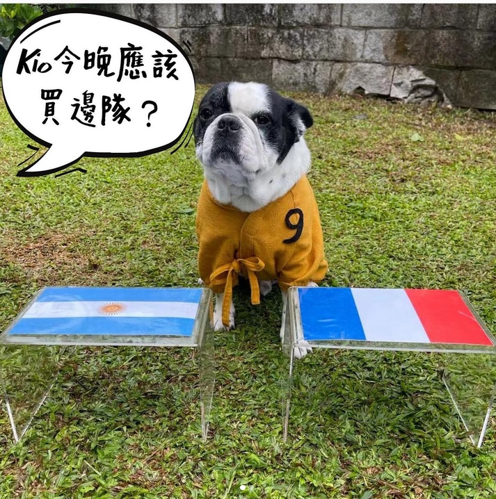 爱犬预测世界杯冠军 星爷:信你了兄弟!