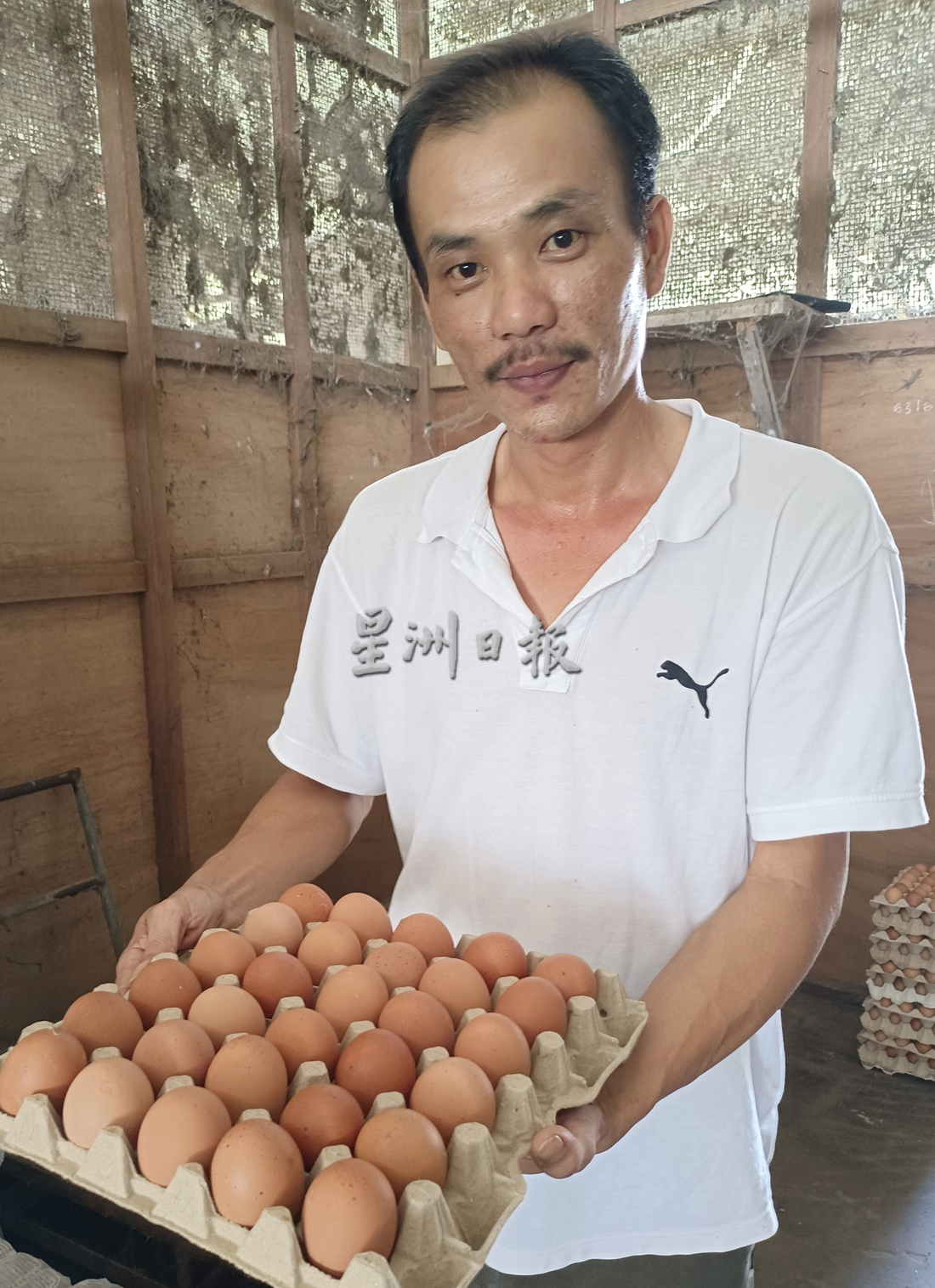 若政府长期执行进口政策人民将吃进口贵蛋