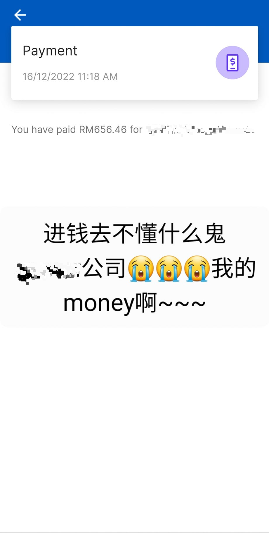 电子钱包被盗提 女子因报警+买保险获全额退款