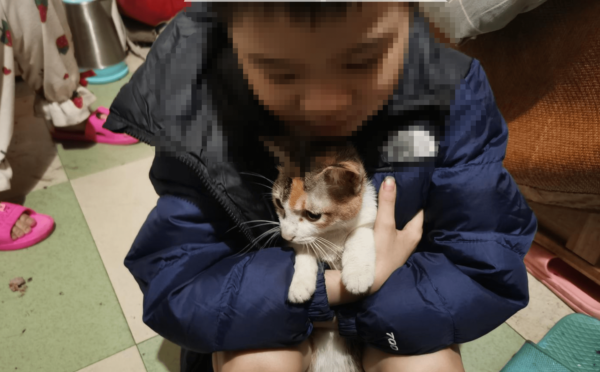 男童遭外婆“圈养” 从未上学6岁仍穿尿片