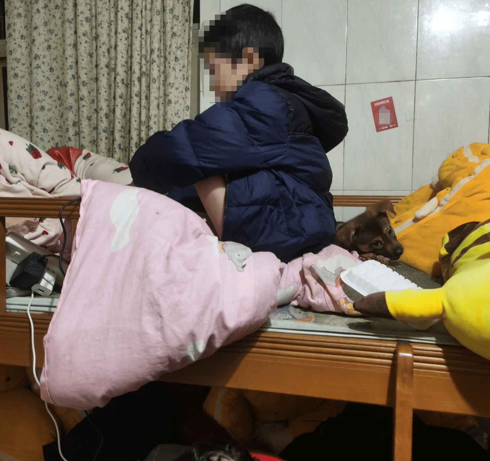 男童遭外婆“圈养” 从未上学6岁仍穿尿片