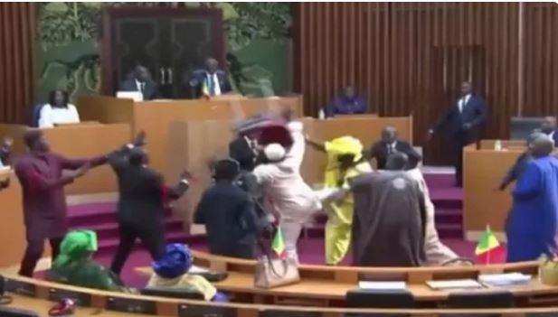 看世界 踹肚、打巴掌全都来!塞内加尔国会上演「全武行」怀孕议员恐流产