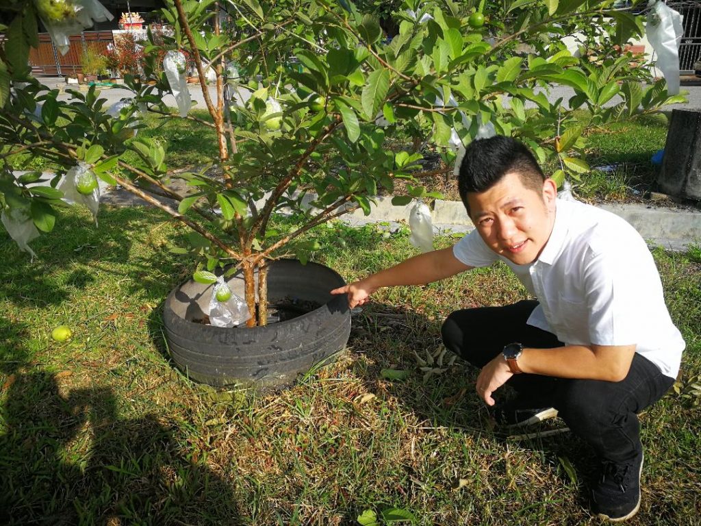社区动态／曼绒县15区出现蚊症 实兆远3地列为传染热点