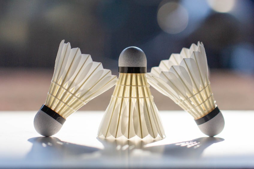 羽毛球鉴定报告