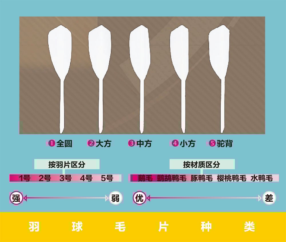 羽毛球鉴定报告