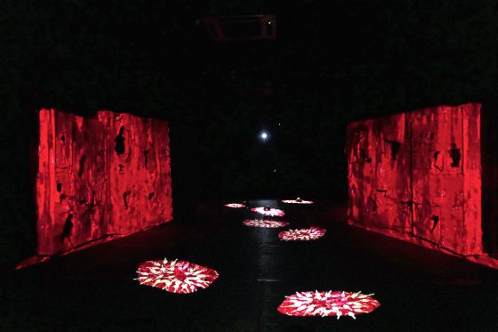 西北孤鸟／改编的意图与传达──《底层》带来的思考