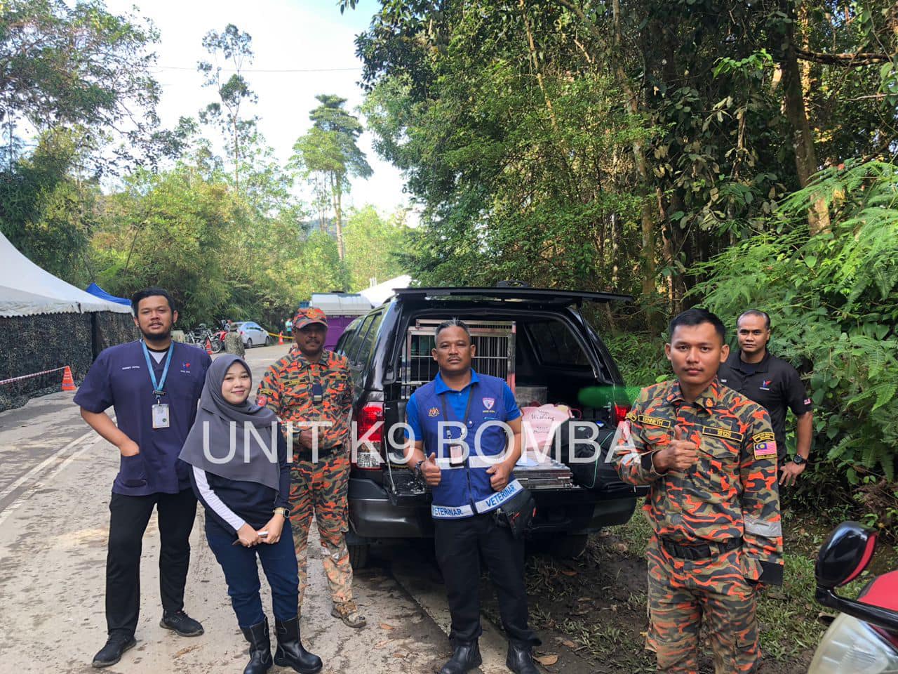 辛苦了!蕉赖兽医团队动员 为K9搜救犬做紧急护理