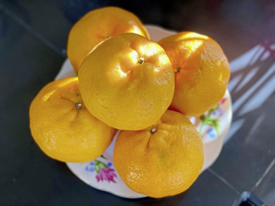 郑锦华/你用哪些水果拜拜?