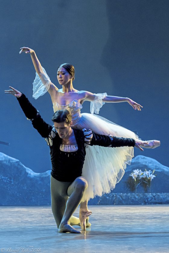 郭碧容／当芭蕾遇上爱丽丝──马来西亚芭蕾舞团2022年最后演出	