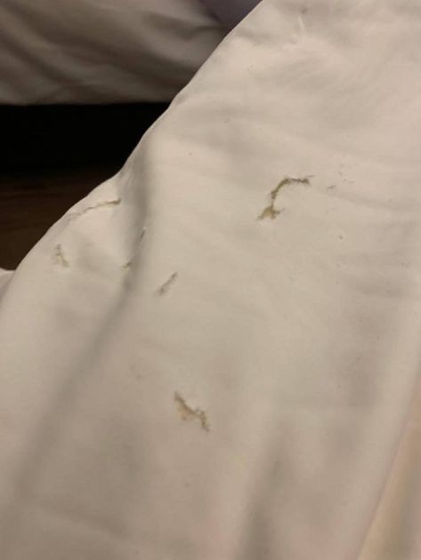 酒店床单枕头套肮脏有血迹 男子轰一晚RM431不要来住