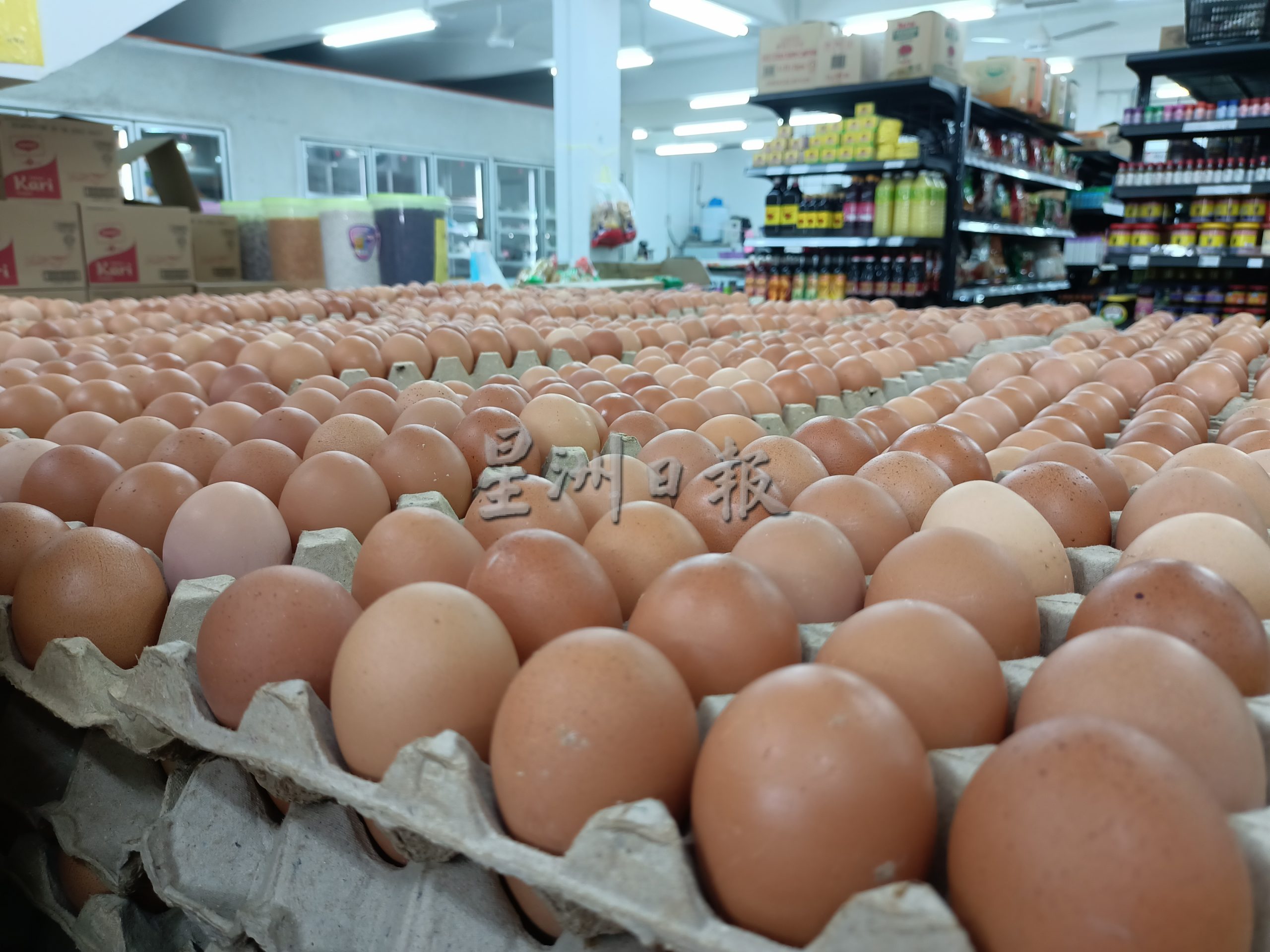 (古城第四版主文)马六甲还未出现进口鸡蛋