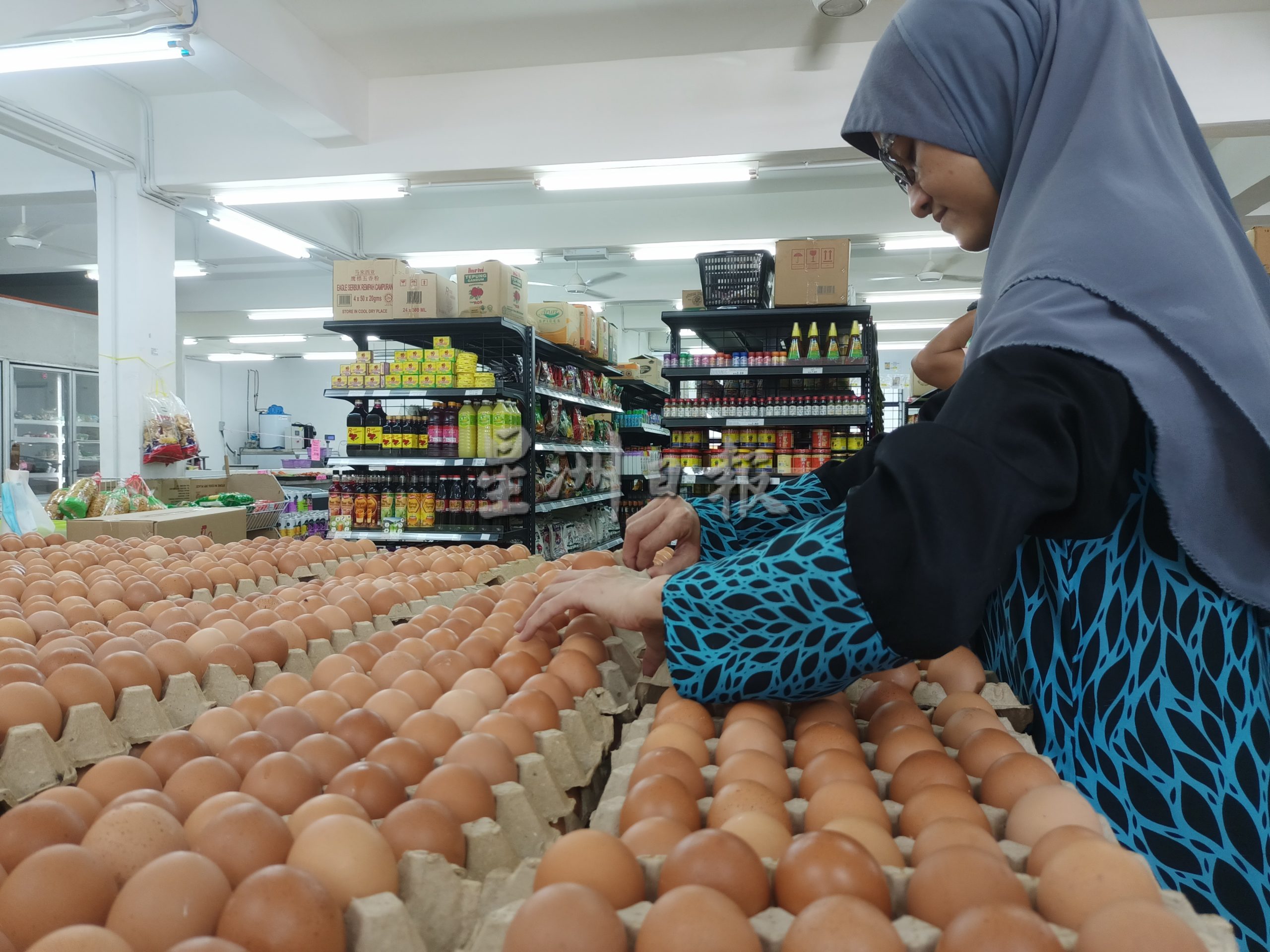 (古城第四版主文)马六甲还未出现进口鸡蛋