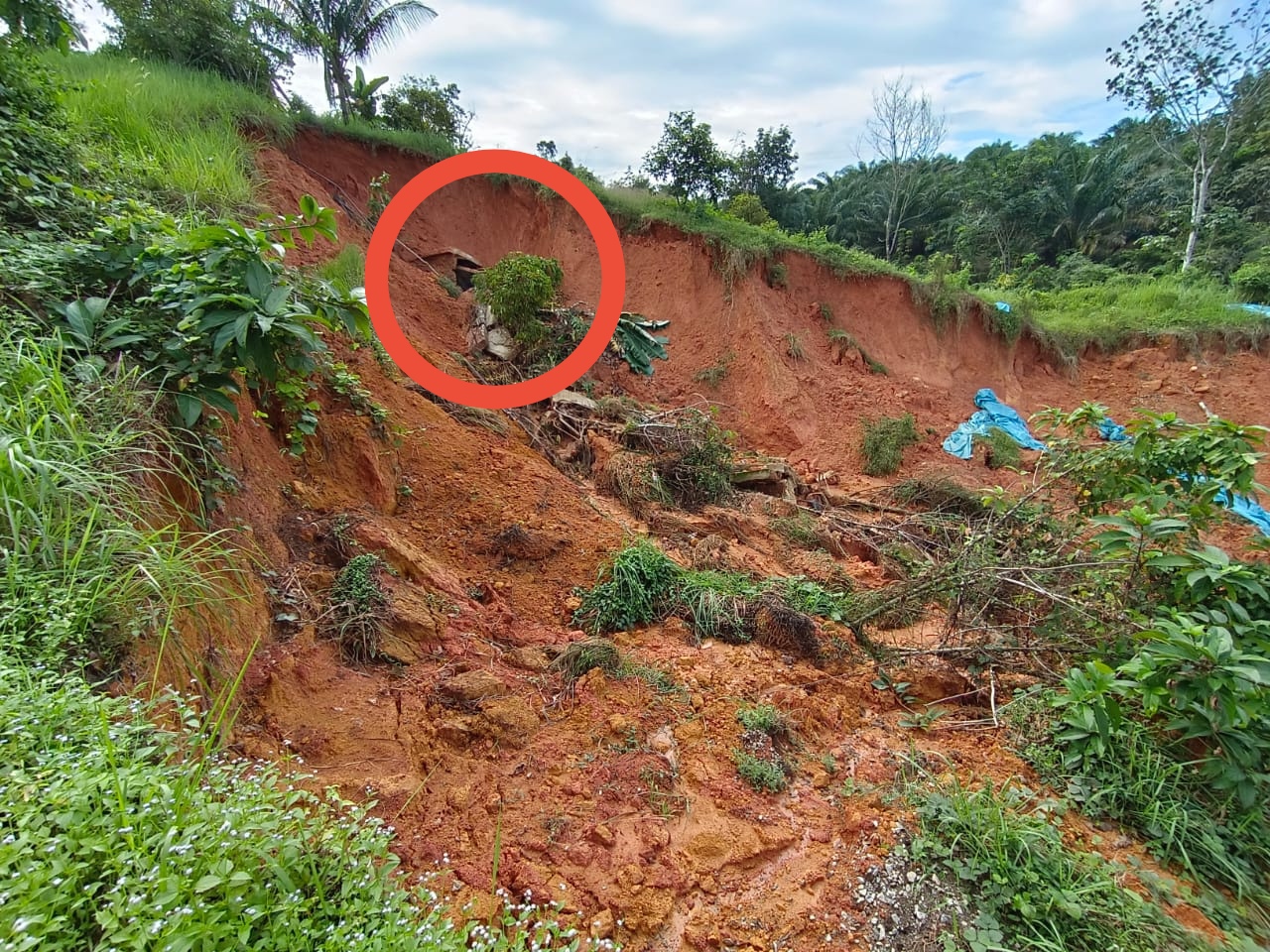 (大北马)从一个大坑洞恶化至触目惊心土崩!珍雅花园排洪沟前方大面积土崩令人忧!