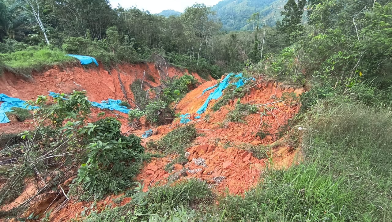 (大北马)从一个大坑洞恶化至触目惊心土崩!珍雅花园排洪沟前方大面积土崩令人忧!