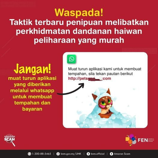 （大北马）小心 便宜宠物美容服务 是新诈骗手法