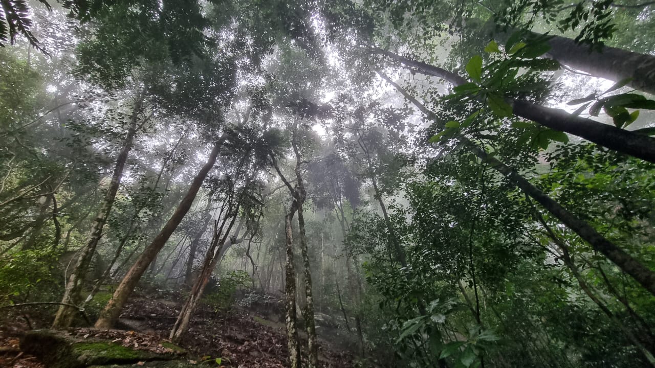 (大北马)高风险山坡海滩洪灾水灾地区,槟市厅:暂停探险登山露营