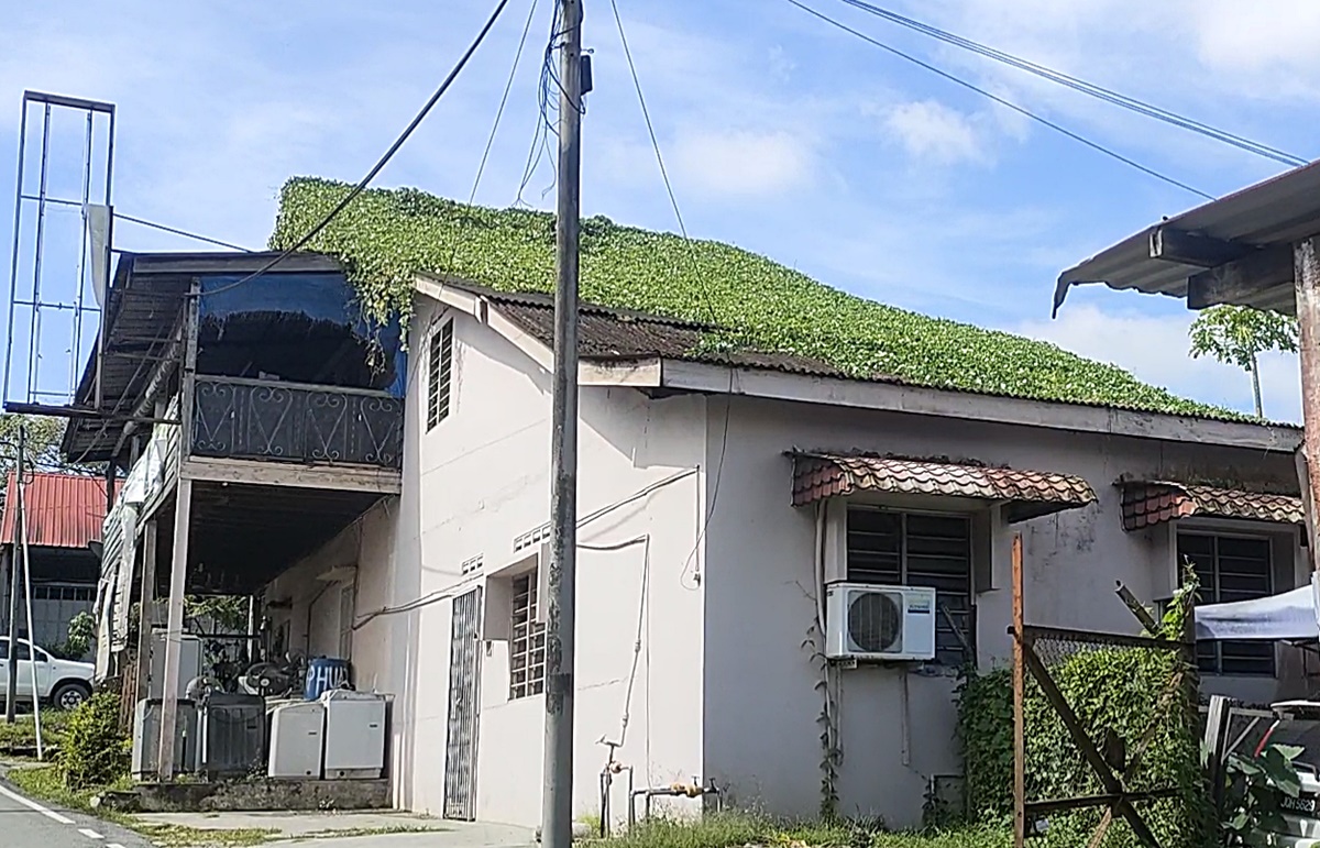 (已签发)柔:封面特稿:SME城湿地、老街草皮屋、市区菜园,介绍古来新打卡风景线